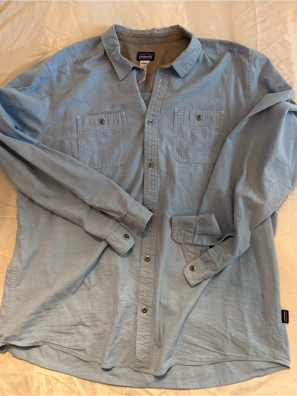 Patagonia Light Blue Men's Long-Sleeve Button-Down Shirt
